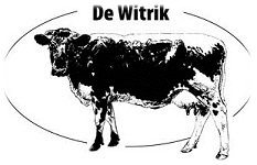 stichting de witrik